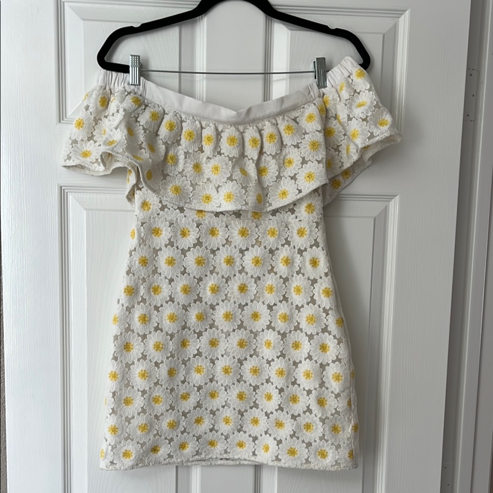 Off-Shoulder embroidered sheer daisy mini dress